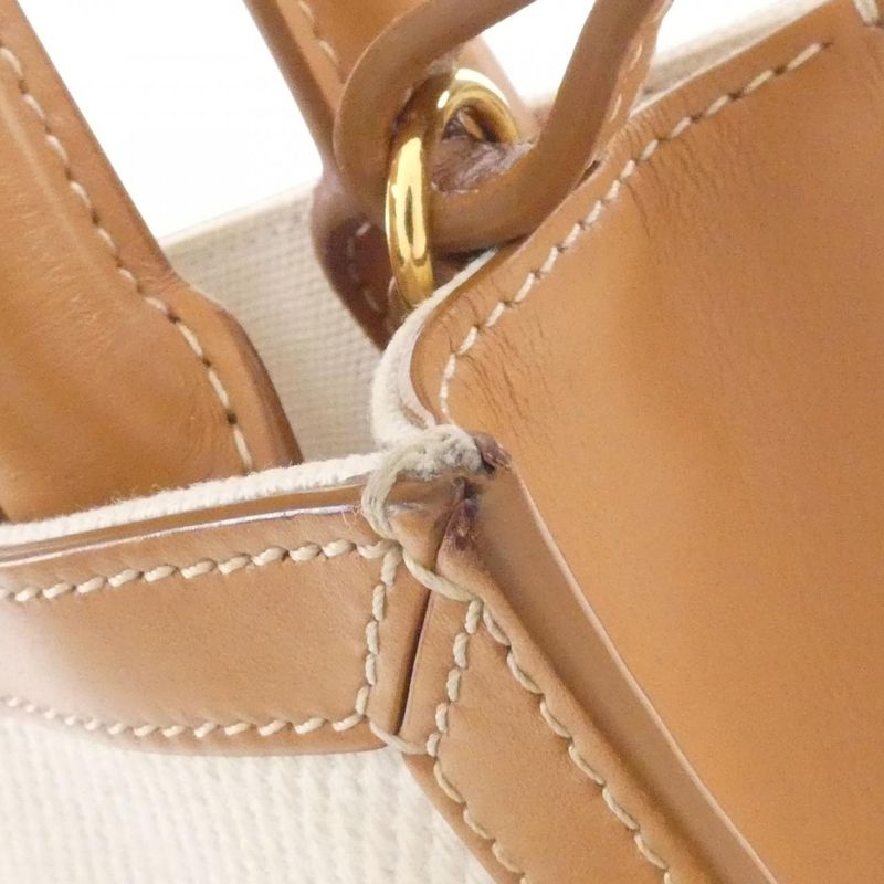 CELINE Mini Vertical Cabas 193302bnz Bag
