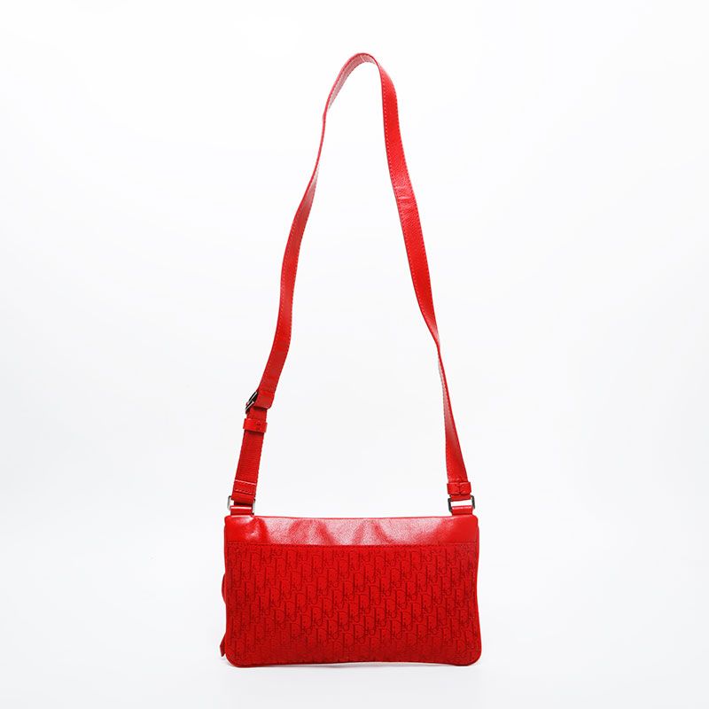 Dior Shoulder Bag Trotter Street Chic