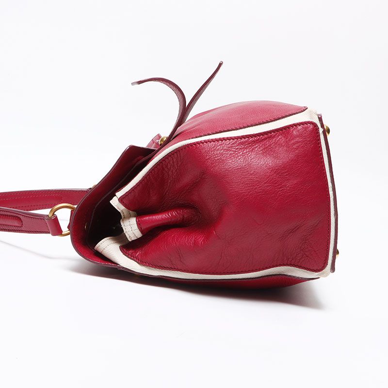 Saint Laurent Yves Handbag Muse Two Leather Canvas