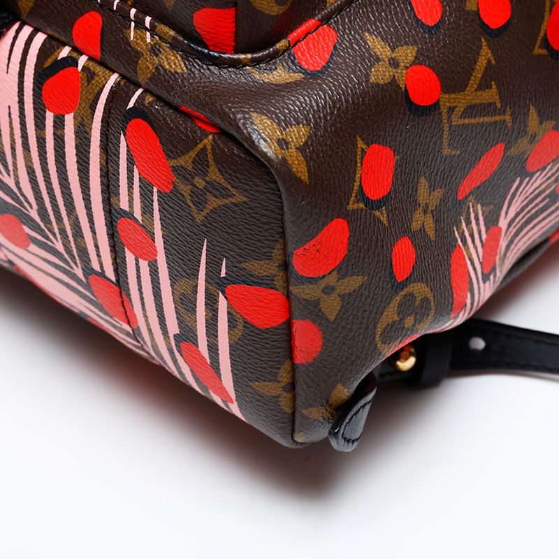 Louis Vuitton Backpack Monogram Jungle Dot Palm Spring PM