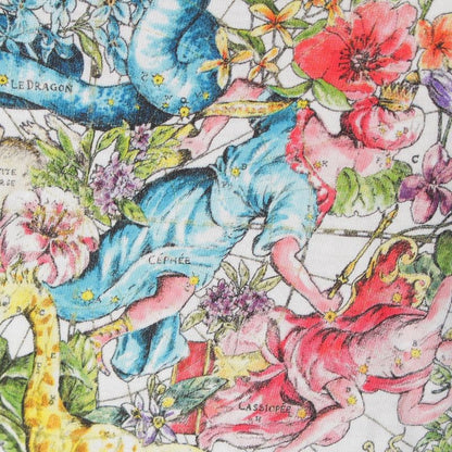 Christian DIOR 24 Years D-constellation Flower X Constellation Print Short