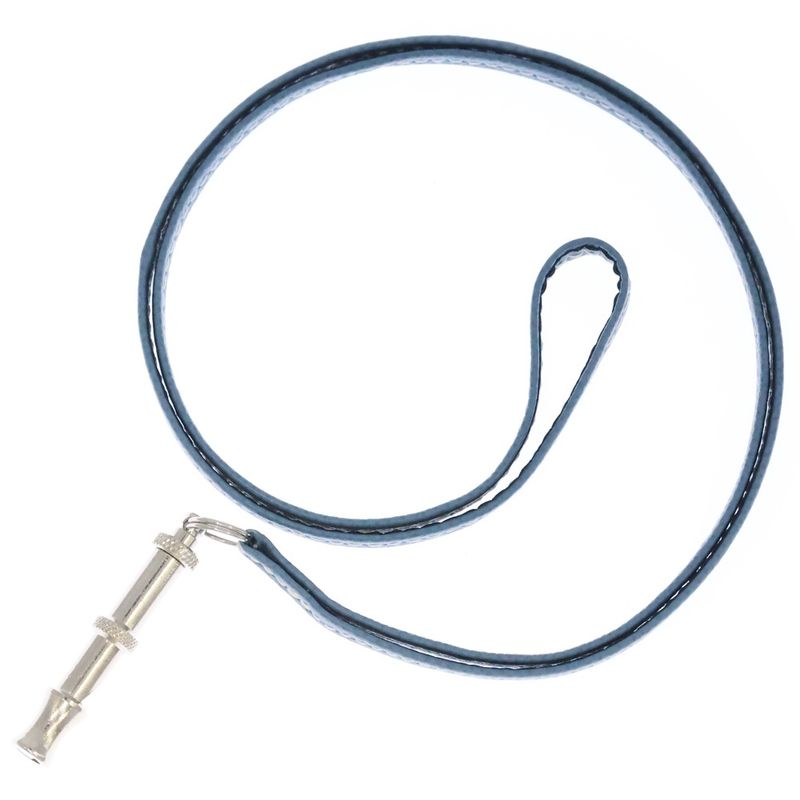 Hermes Symbol Pair Necklace Pendant Light Blue Silver Hardware