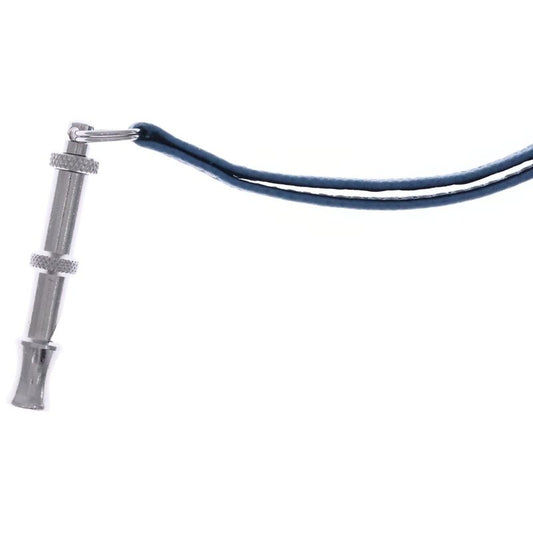 Hermes Symbol Pair Necklace Pendant Light Blue Silver Hardware