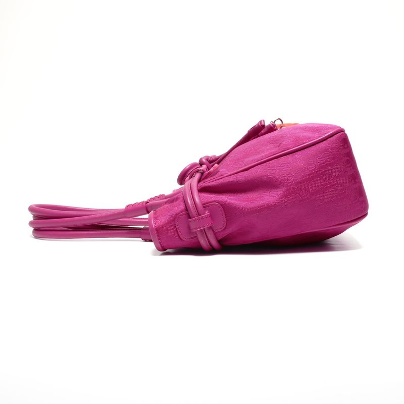 Dior Handbag la Oblique Canvas Trotter