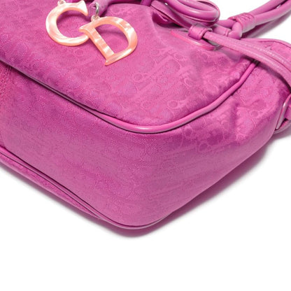 Dior Handbag la Oblique Canvas Trotter