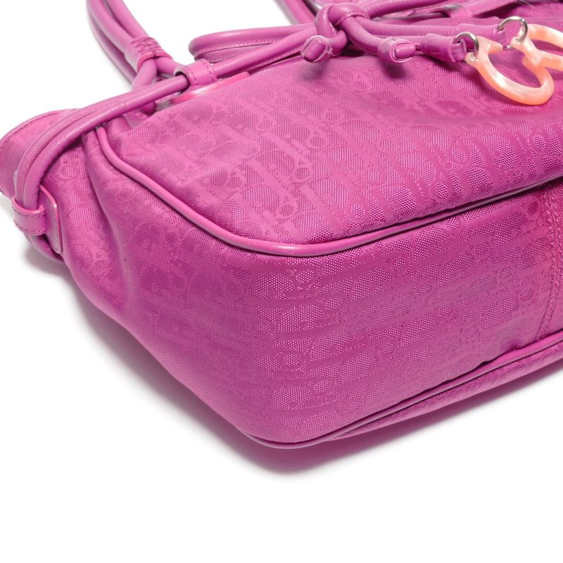 Dior Handbag la Oblique Canvas Trotter