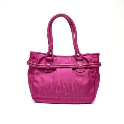 Dior Handbag la Oblique Canvas Trotter