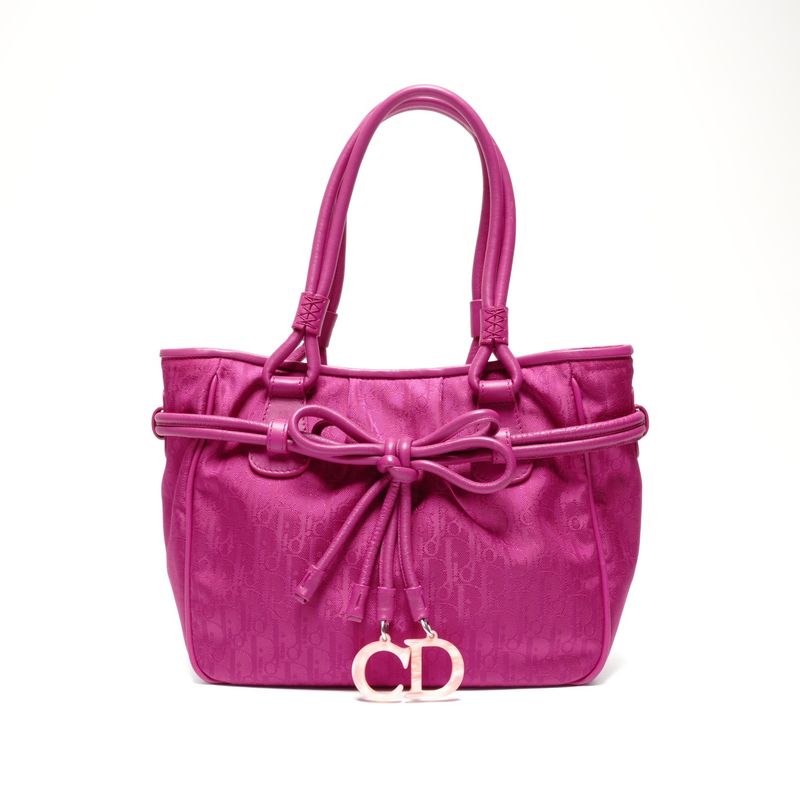 Dior Handbag la Oblique Canvas Trotter