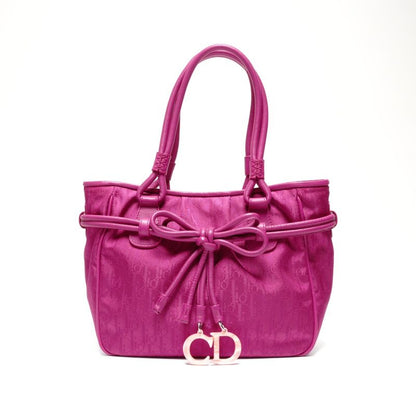 Dior Handbag la Oblique Canvas Trotter