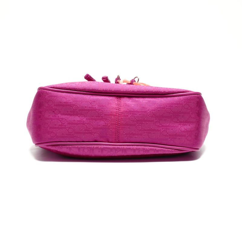 Dior Handbag la Oblique Canvas Trotter