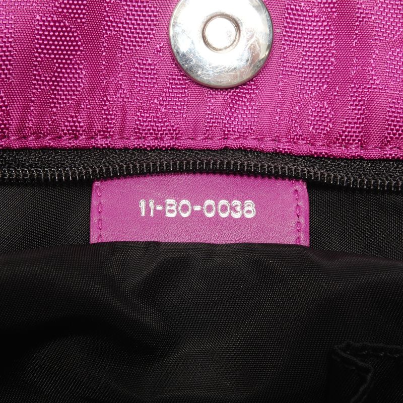 Dior Handbag la Oblique Canvas Trotter