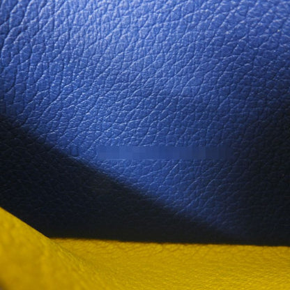 Hermes Cade Case Rms Yellow Blue Manufactured Around