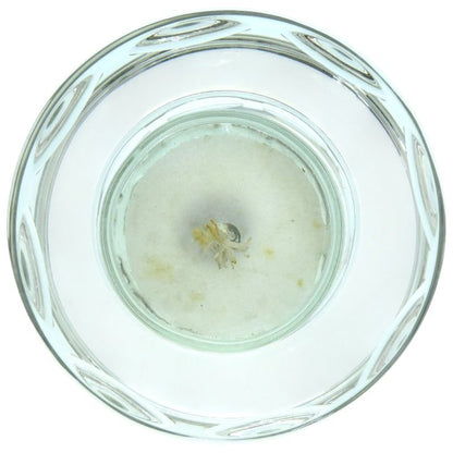 Hermes Candle Set Saint Louis Pour Glass Clear