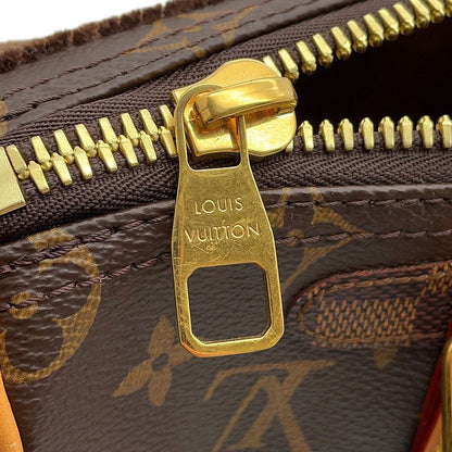 Louis Vuitton Handbag Monogram Landscape Keepall Bandouliere 25