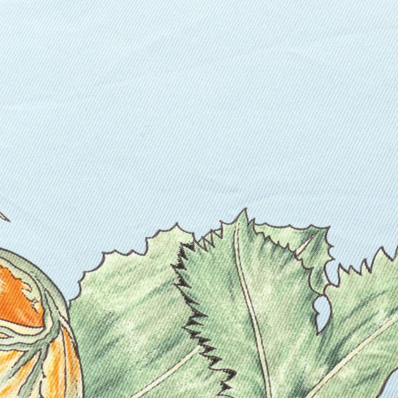 Hermes Scarf Carre 90 Citrouilles ET Coloquintes Silk