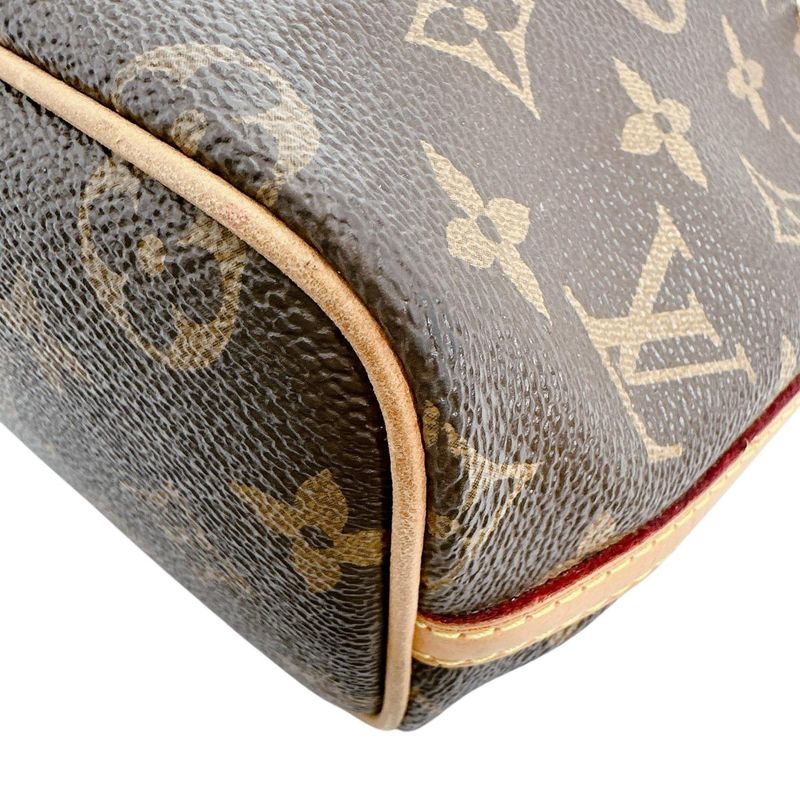 Louis Vuitton Monogram Crossbody Nano Noe Shoulder Bag