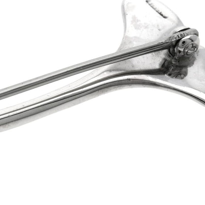 Tiffany & Co. Ginkgo Motif Brooch