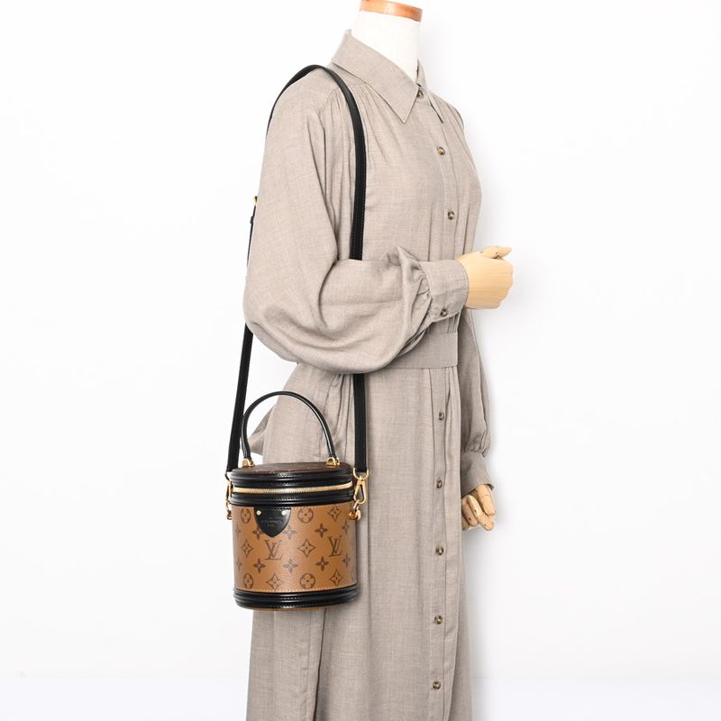 Louis Vuitton Handbag Cannes Brown