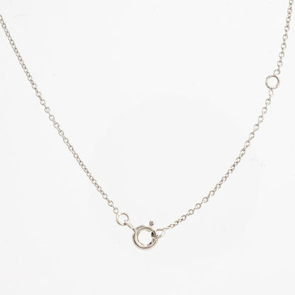 Hermes Necklace Med Lucupidone