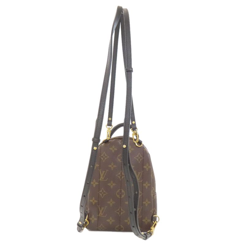 Louis Vuitton Palm Spring Mini Backpack