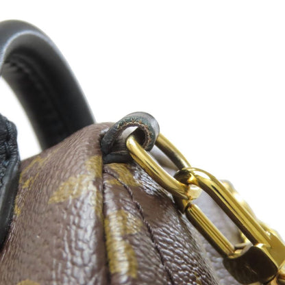 Louis Vuitton Palm Spring Mini Backpack