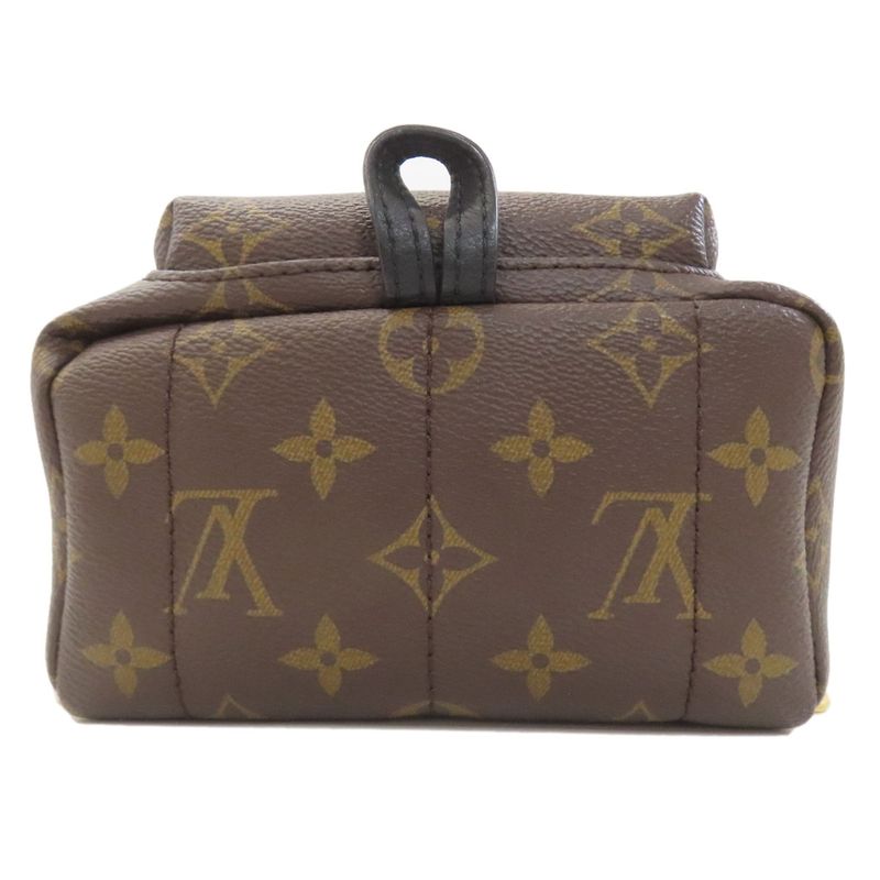 Louis Vuitton Palm Spring Mini Backpack