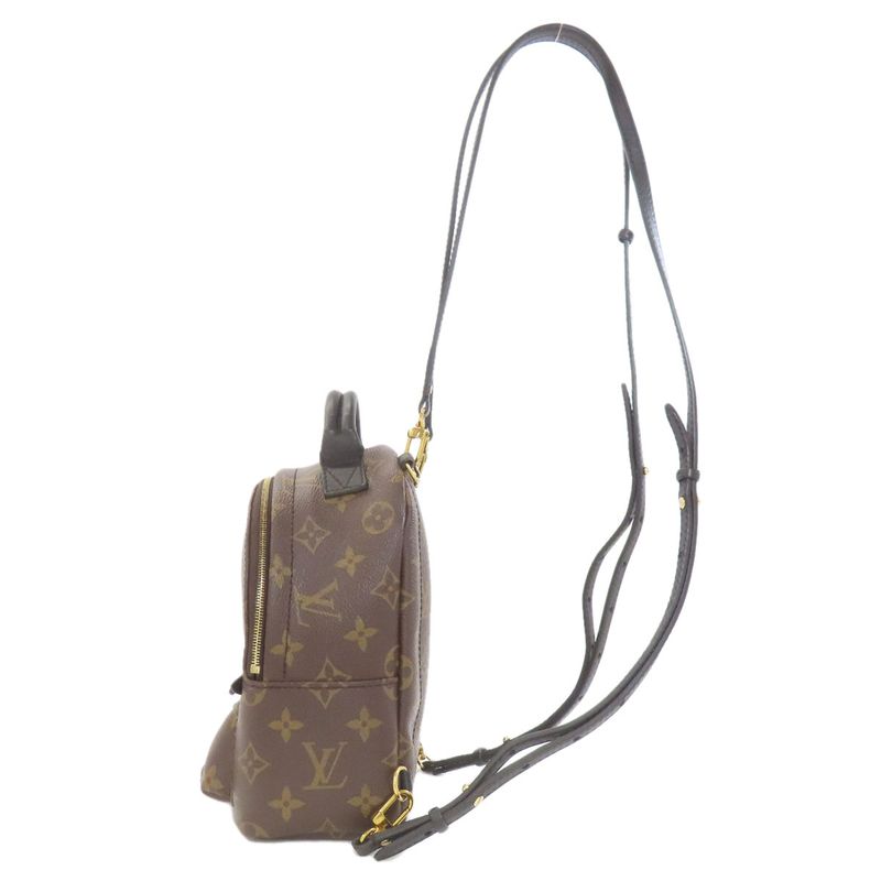 Louis Vuitton Palm Spring Mini Backpack