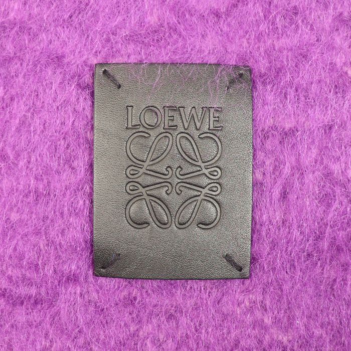 Loewe Mohair Muffler Multicolor Scarf