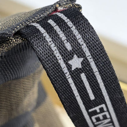 Fendi Body Bag Pecan Stripe Waist Pouch Canvas