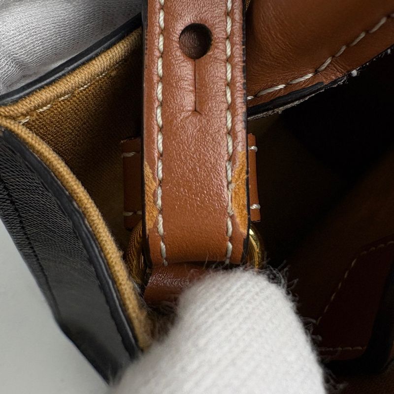 Celine Mini Vertical Cover 2-Way Shoulder Bag Triomphe