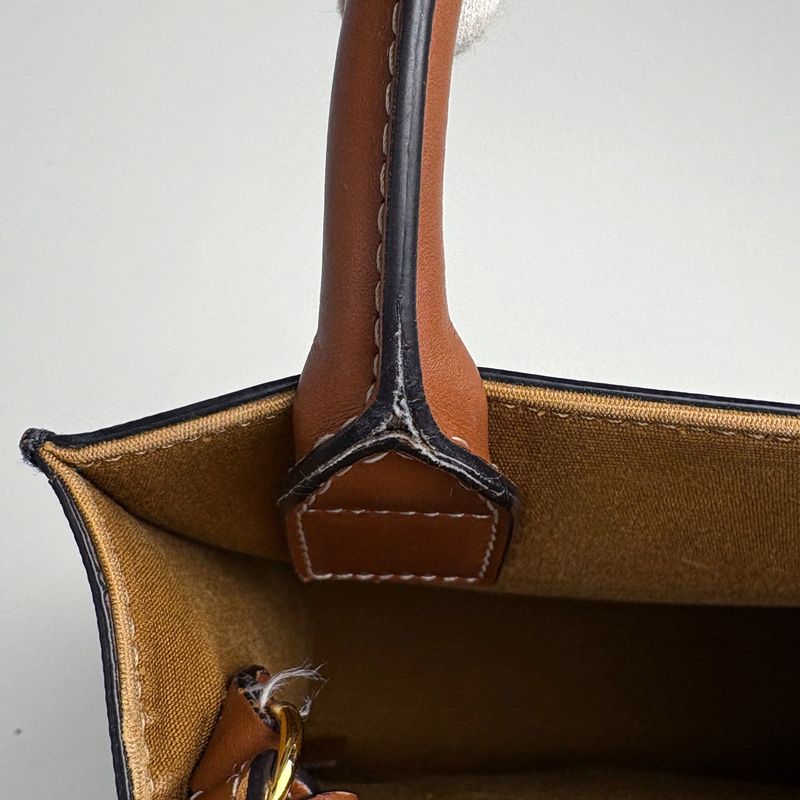 Celine Mini Vertical Cover 2-Way Shoulder Bag Triomphe