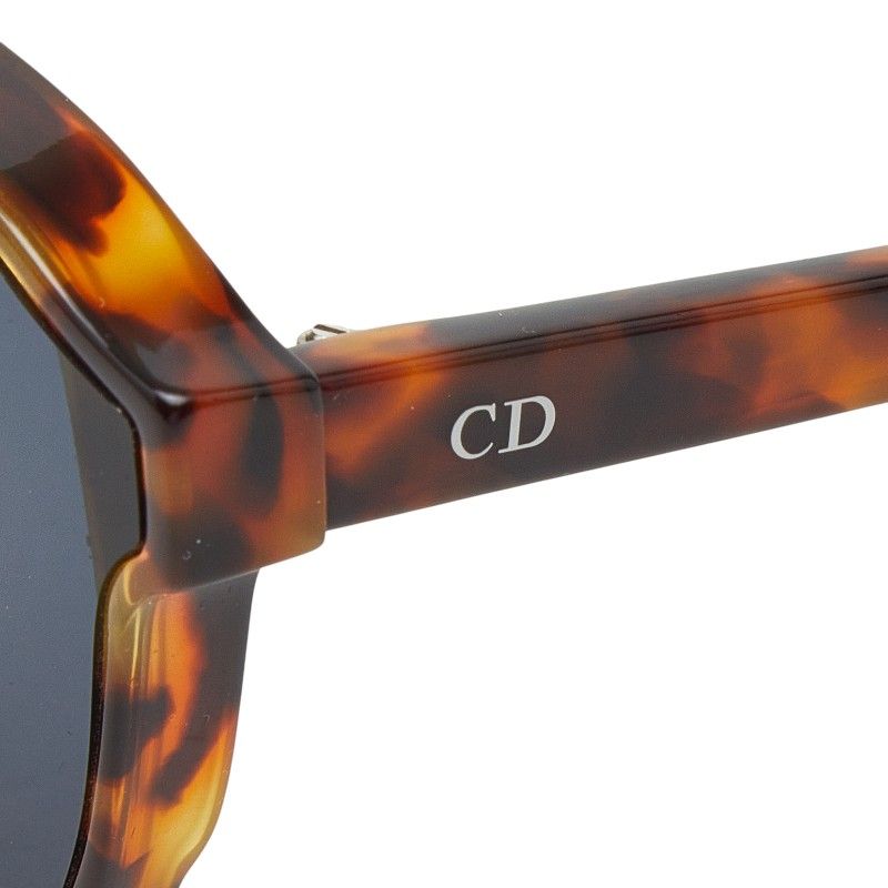 Dior Logo Brown Blue Plastic