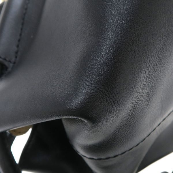 Loewe Paseo Bag Calfskin Leather