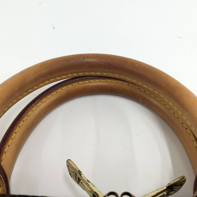 Louis Vuitton Alma Handbag Monogram