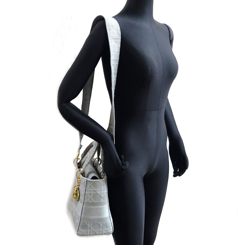 Dior Christian Handbag Canvas Gray