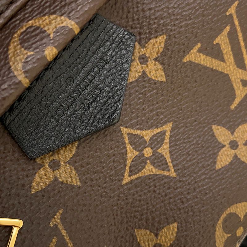 Louis Vuitton Backpack Monogram Palm Spring PM Noir Black