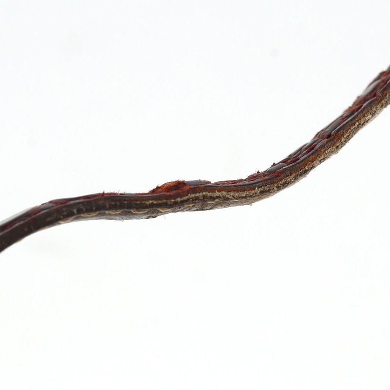 Cartier Must Colise SM Quartz