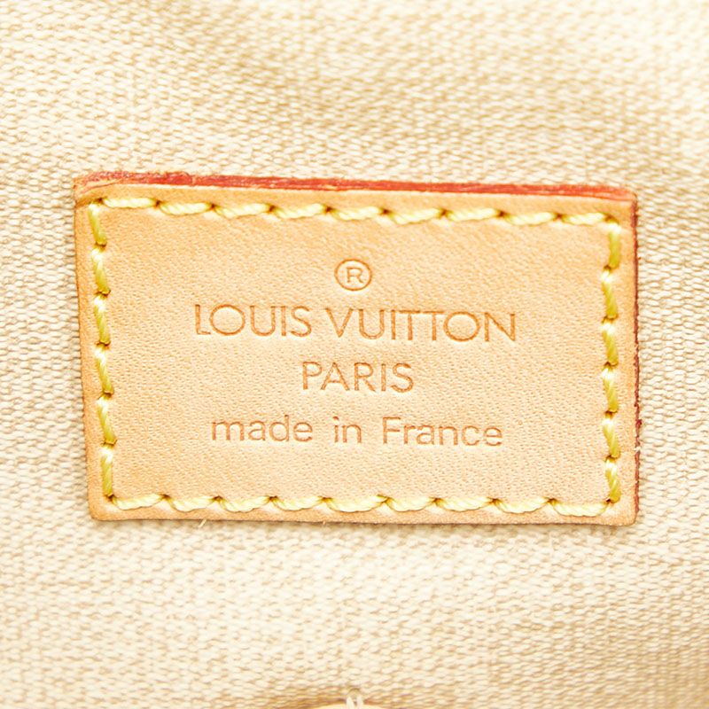 Louis Vuitton Monogram Trouville Brown Leather