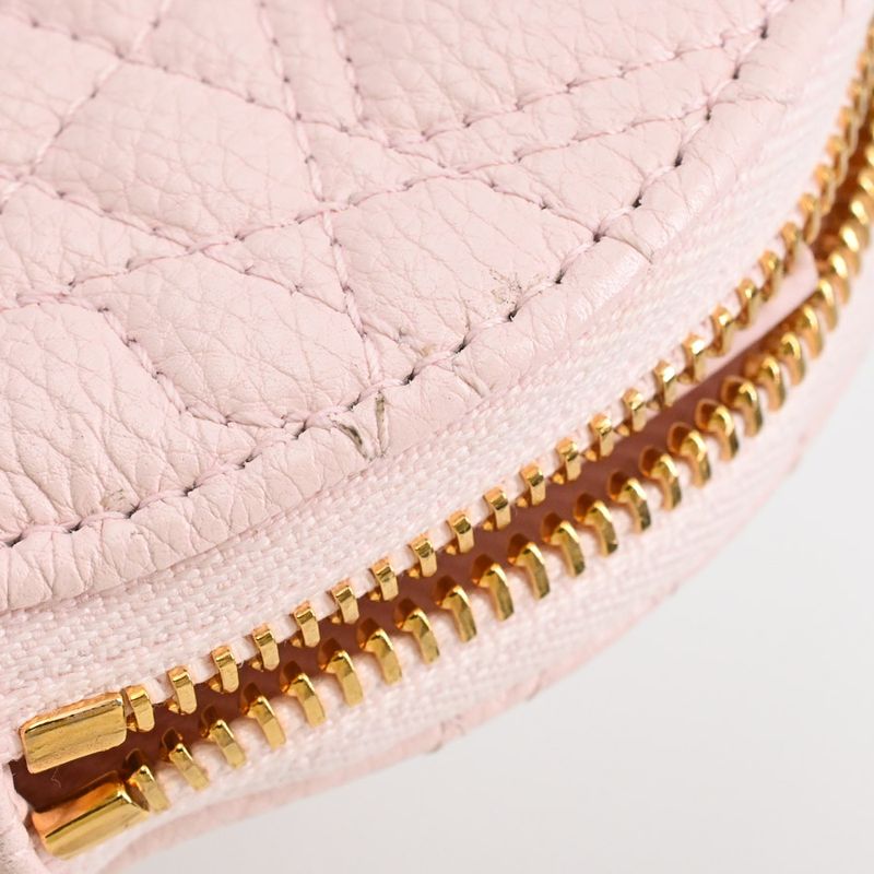 Dior Coin Case Luca Rohat Pouch
