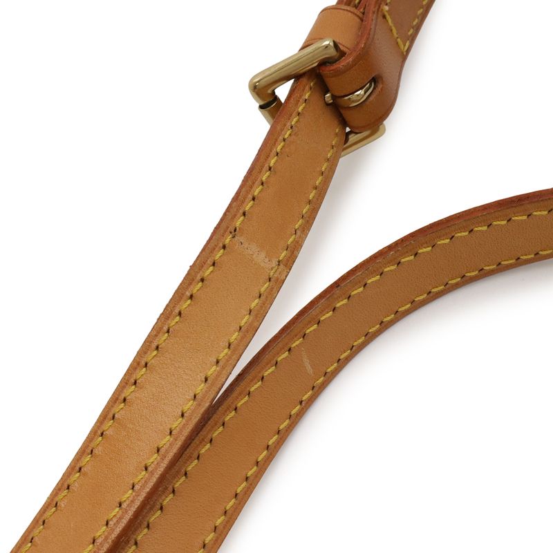 Louis Vuitton Monogram Mini Saint Cloud Mini Shoulder Bag Pochette