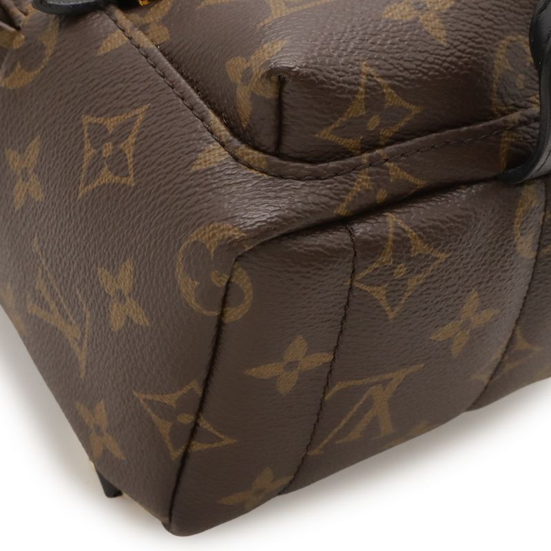 Louis Vuitton Monogram Palm Spring Backpack Mini