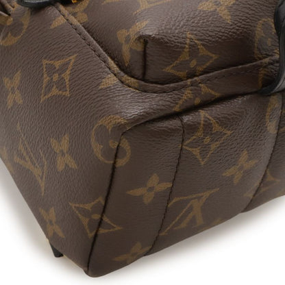 Louis Vuitton Monogram Palm Spring Backpack Mini