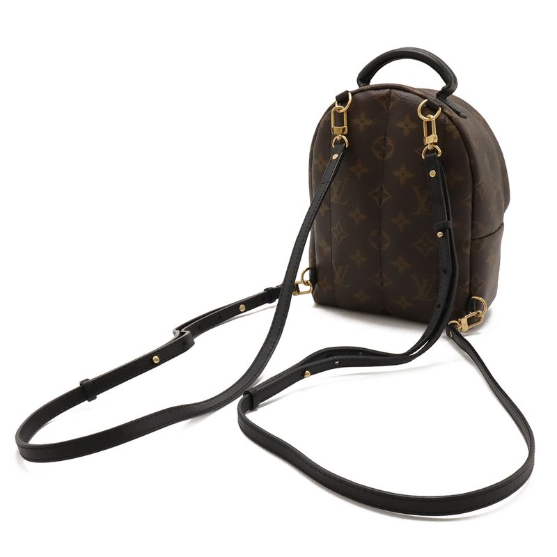 Louis Vuitton Monogram Palm Spring Backpack Mini