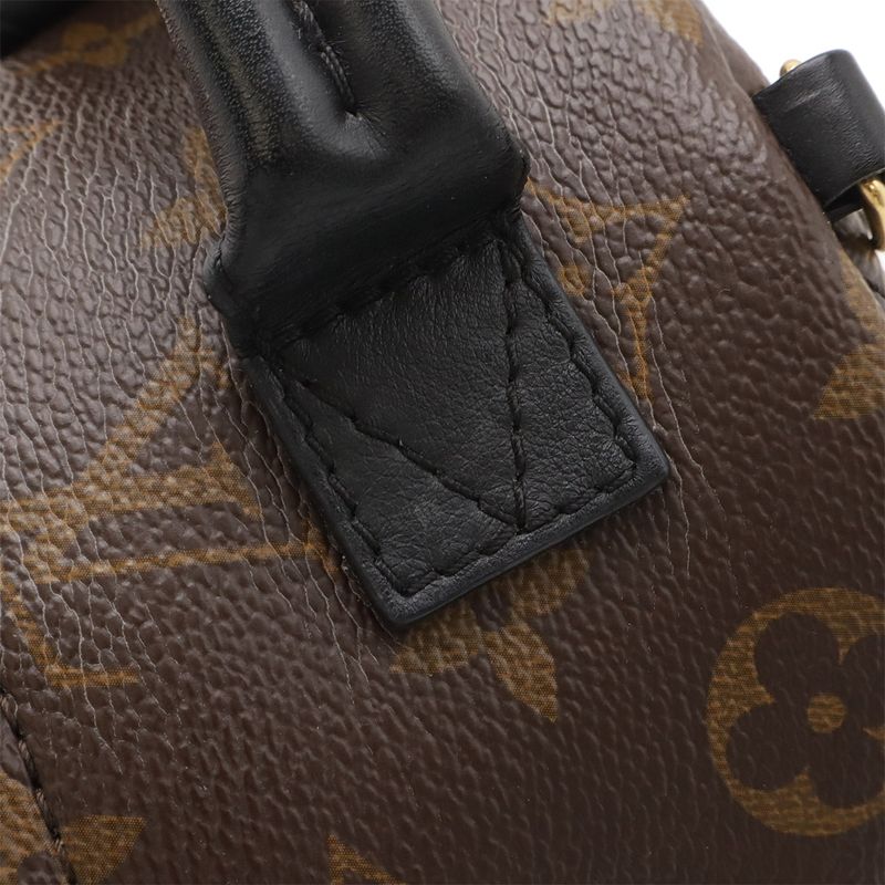 Louis Vuitton Monogram Palm Spring Backpack Mini