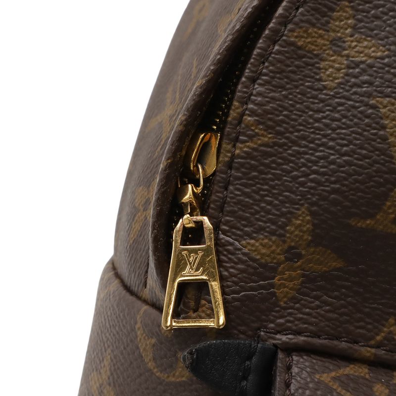 Louis Vuitton Monogram Palm Spring Backpack Mini