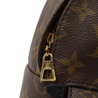 Louis Vuitton Monogram Palm Spring Backpack Mini