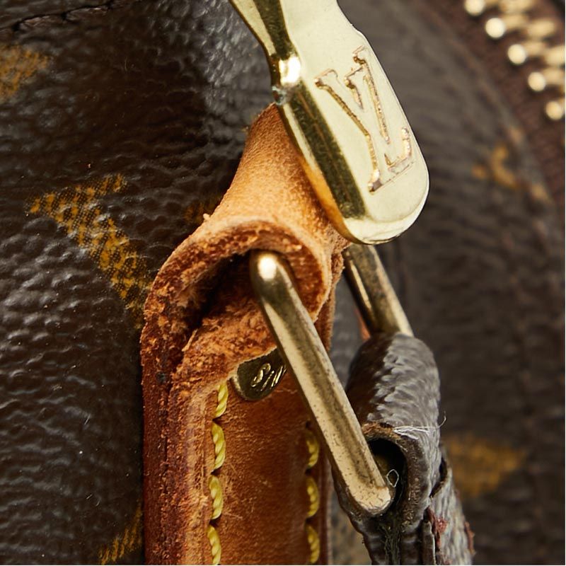 Louis Vuitton Monogram Amazon Crossbody Shoulder Bag Brown Leather