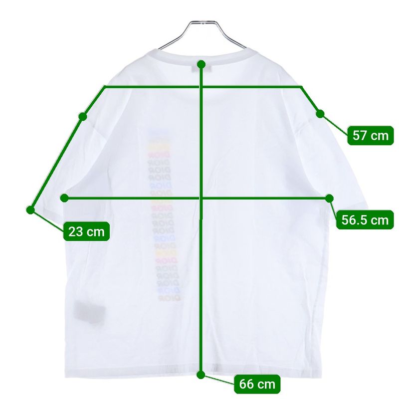 Dior Multi Color Logo Print S Tee