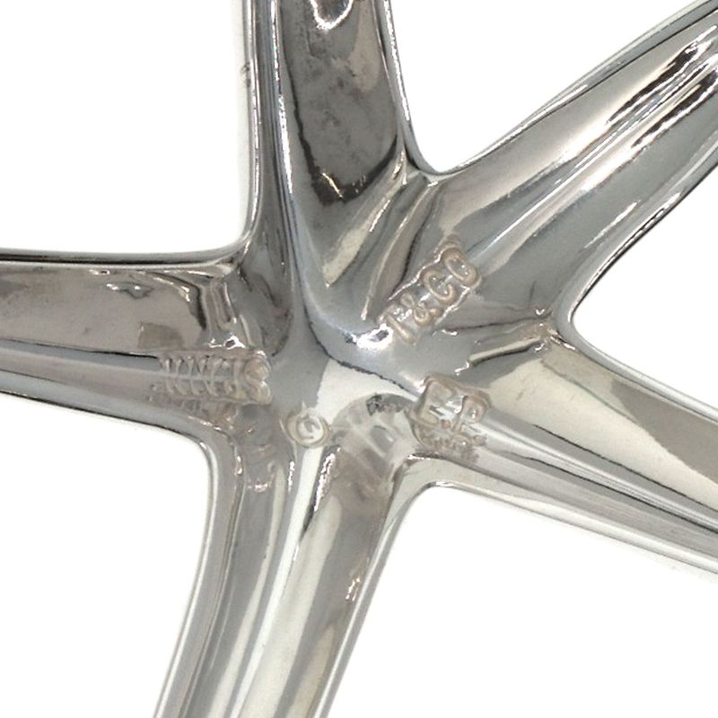 Tiffany & Co. Star Fish Necklace