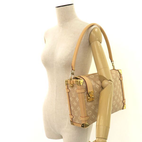 Louis Vuitton Meow Gram Side Trunk GM